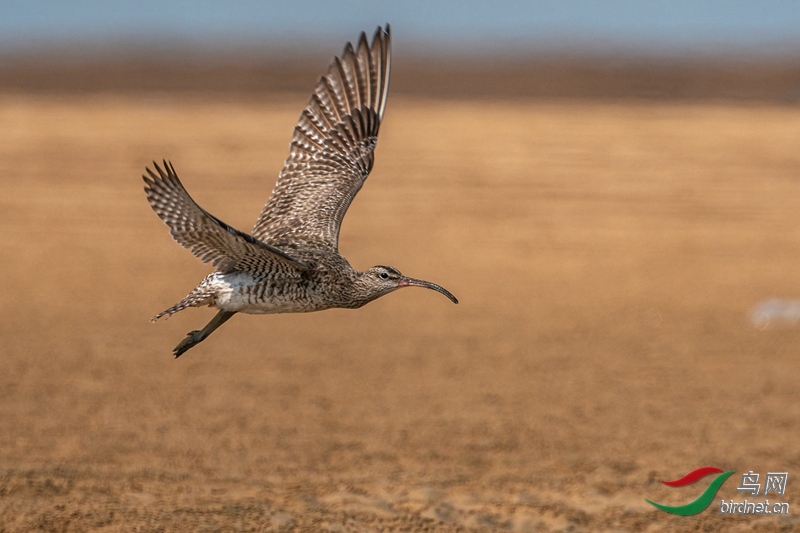 �������� ��ʦ���� ��ɽ��ʡ�����ж�����.jpg