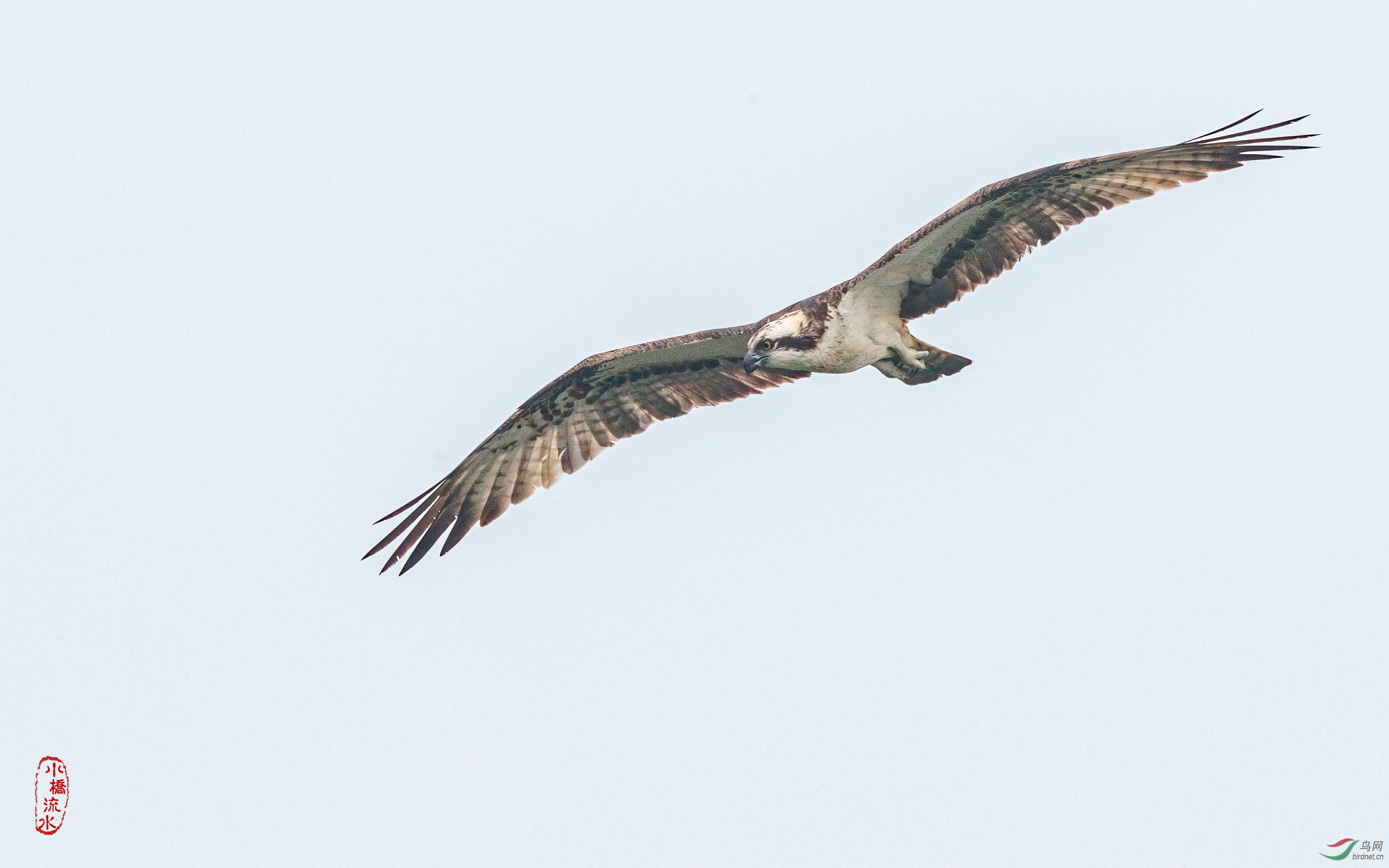 J1DL4346.jpg