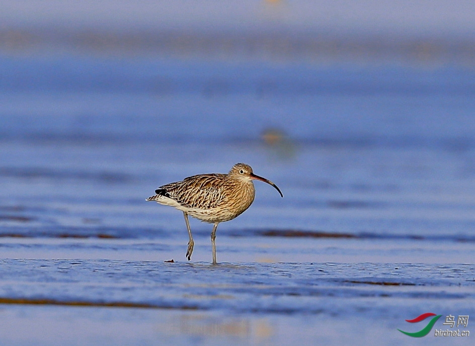 0529 ��ʦ�����ںӱ�ʡ��ɽ����ͤ��.jpg