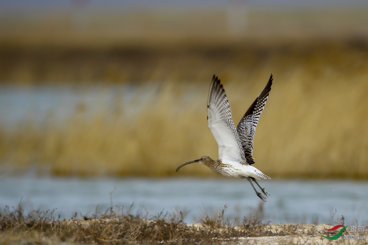 ���� ��ʦ�����ں�����ʡ�����к�·��.jpg