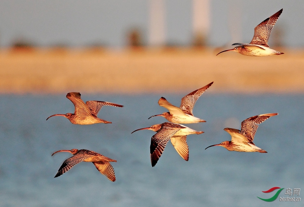 ����� ��ʦ��ɽ��ʡΫ���в�����.jpg