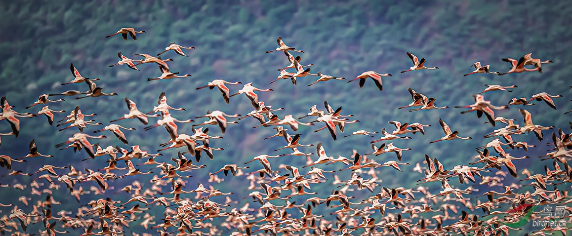 �����ڿ����ǲ������Ǻ���