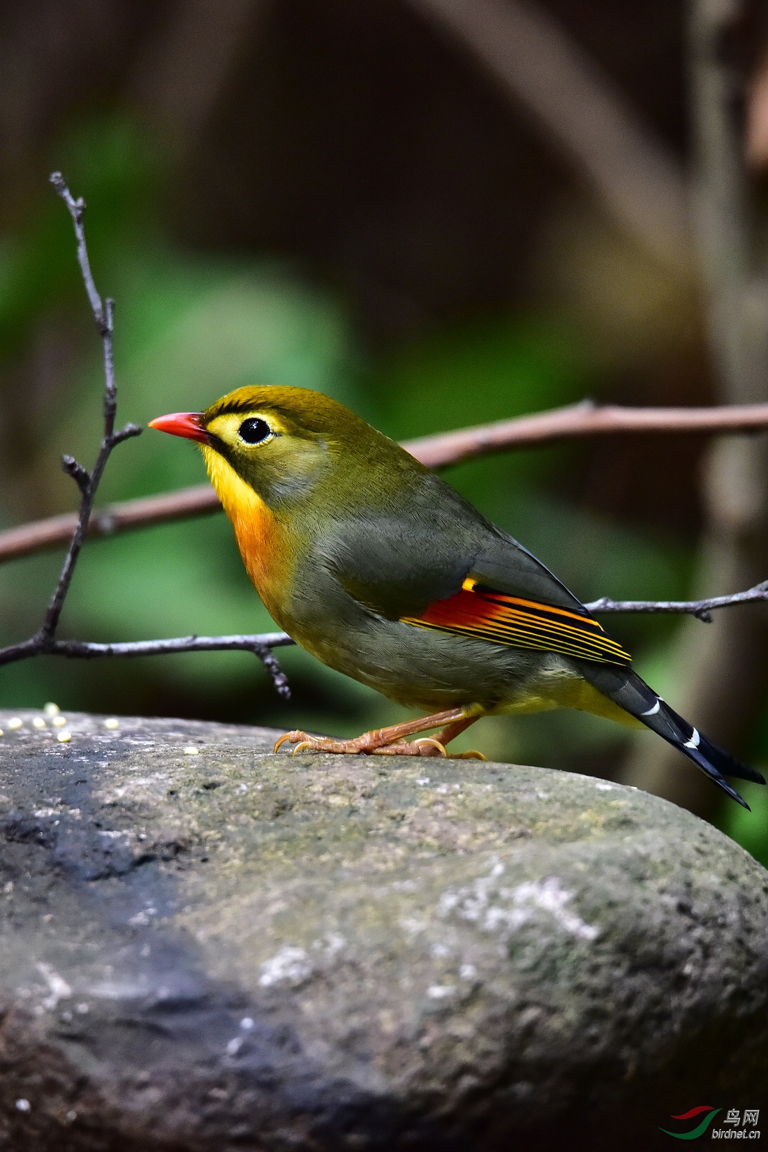 DSC_0639.JPG