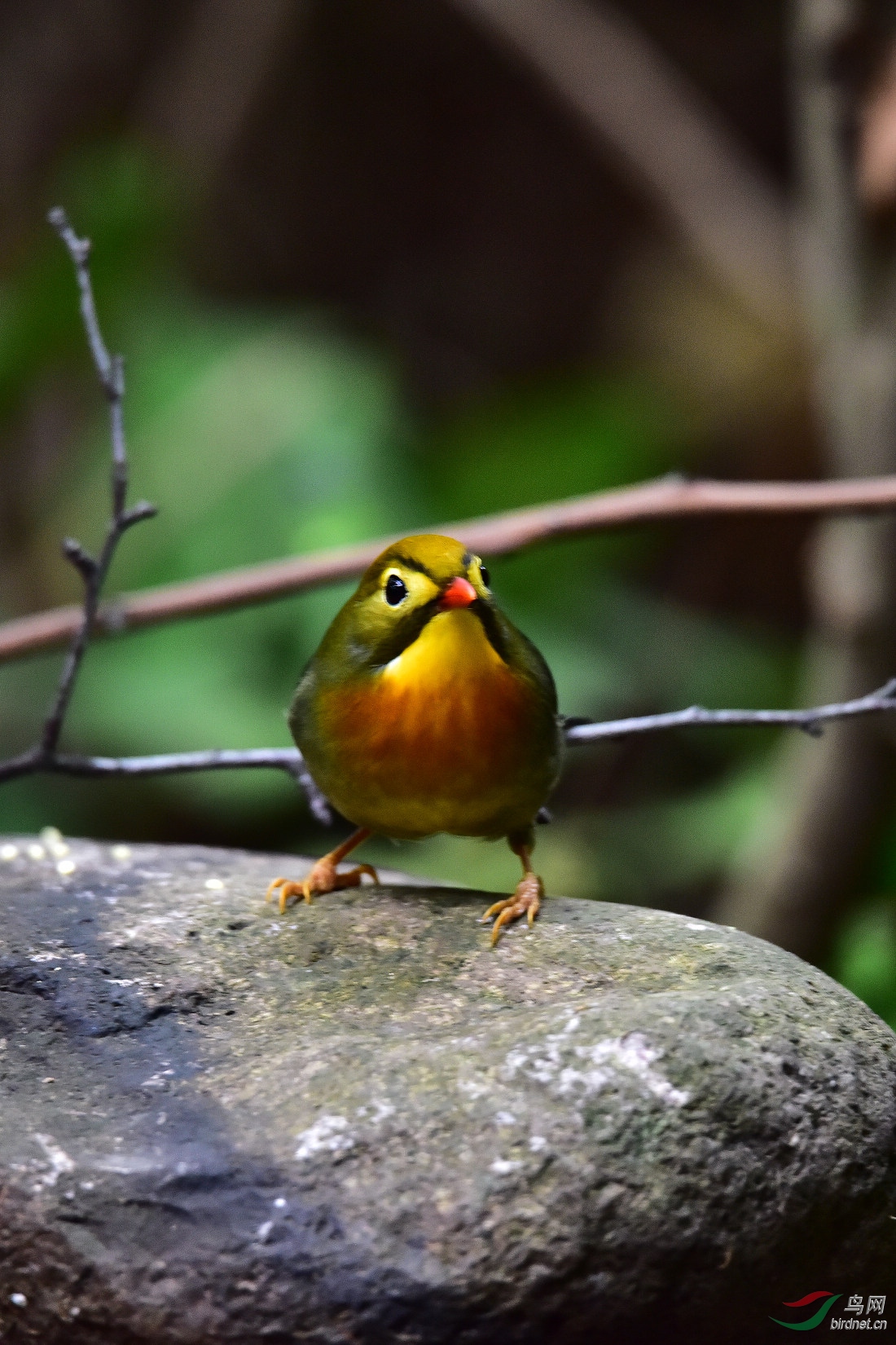 DSC_0640.JPG