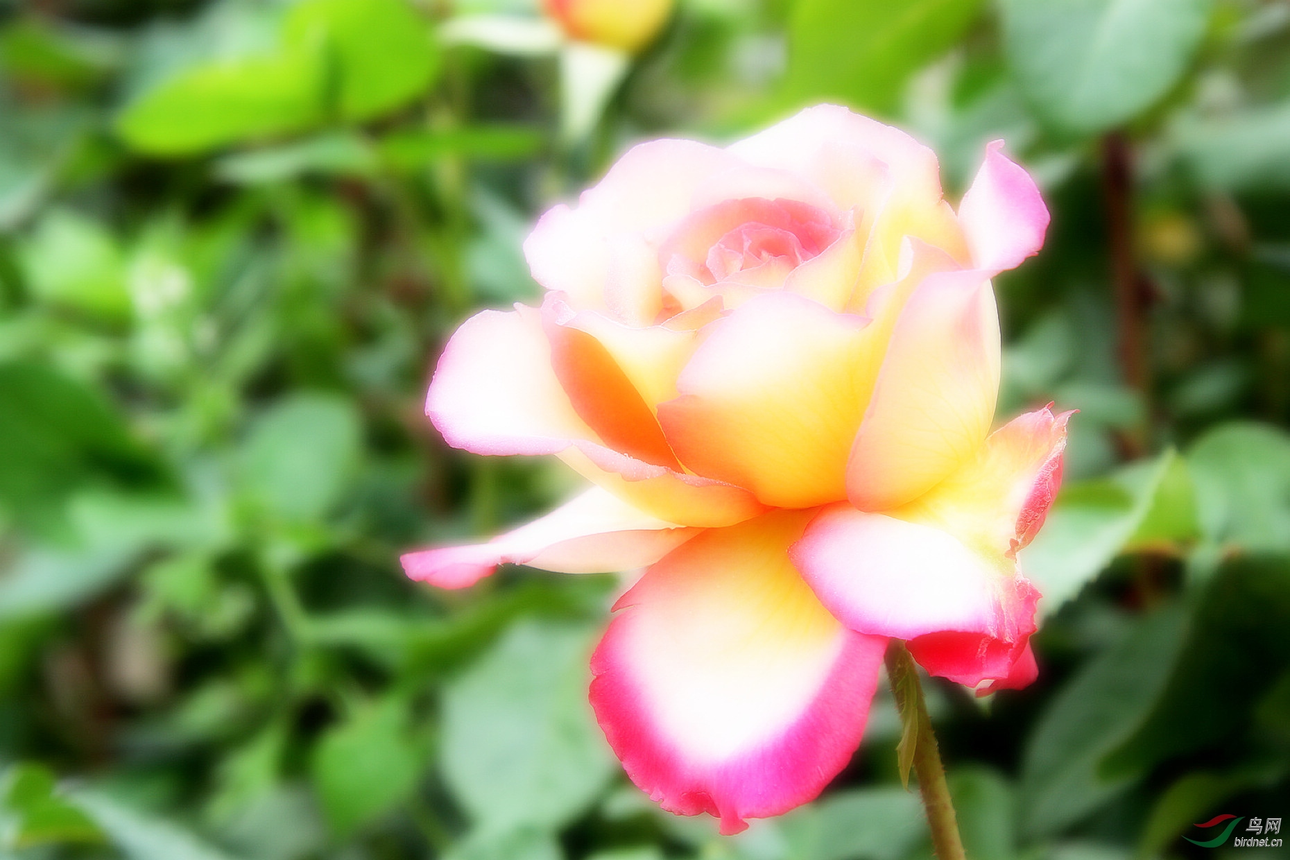 IMG_9797czxr.jpg