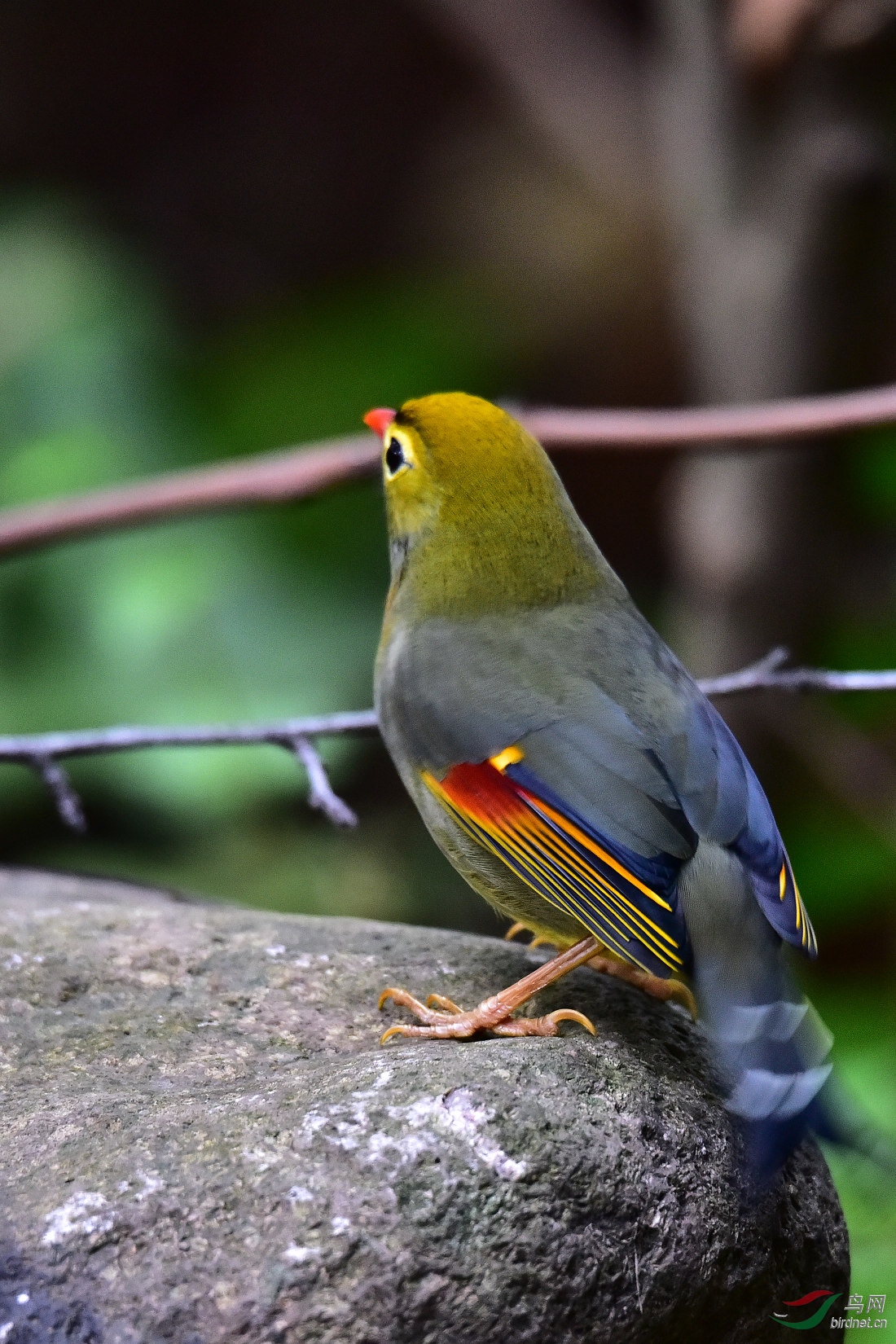 DSC_0643.JPG