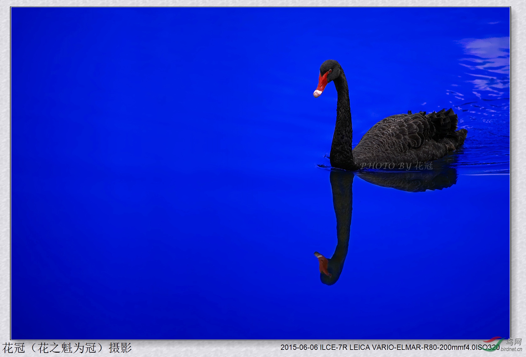 DSC08686B-2_����_����.jpg
