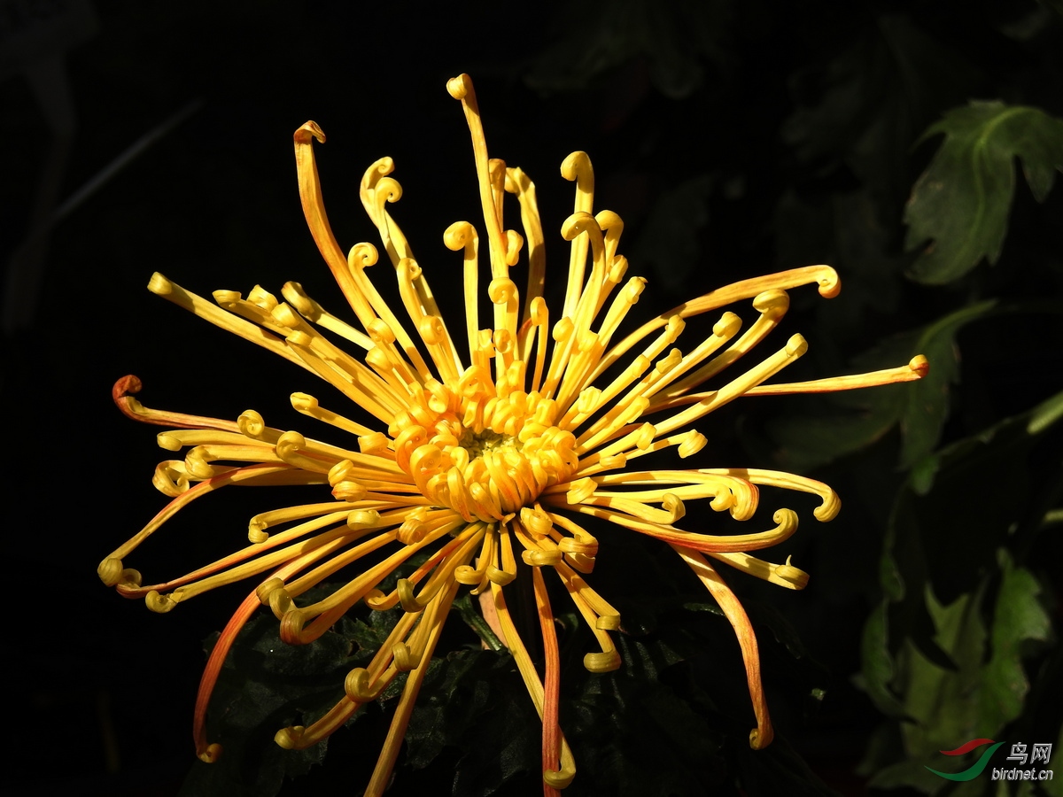 DSCN1492.JPG