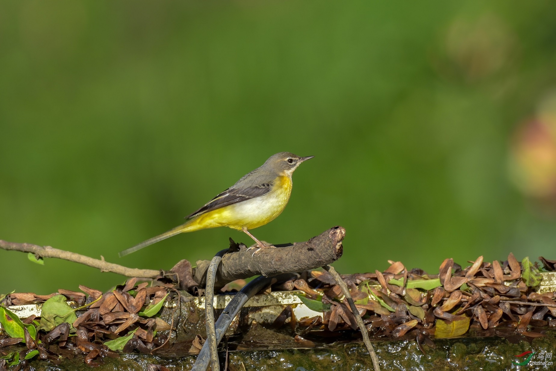 810��500�ĶԱ�