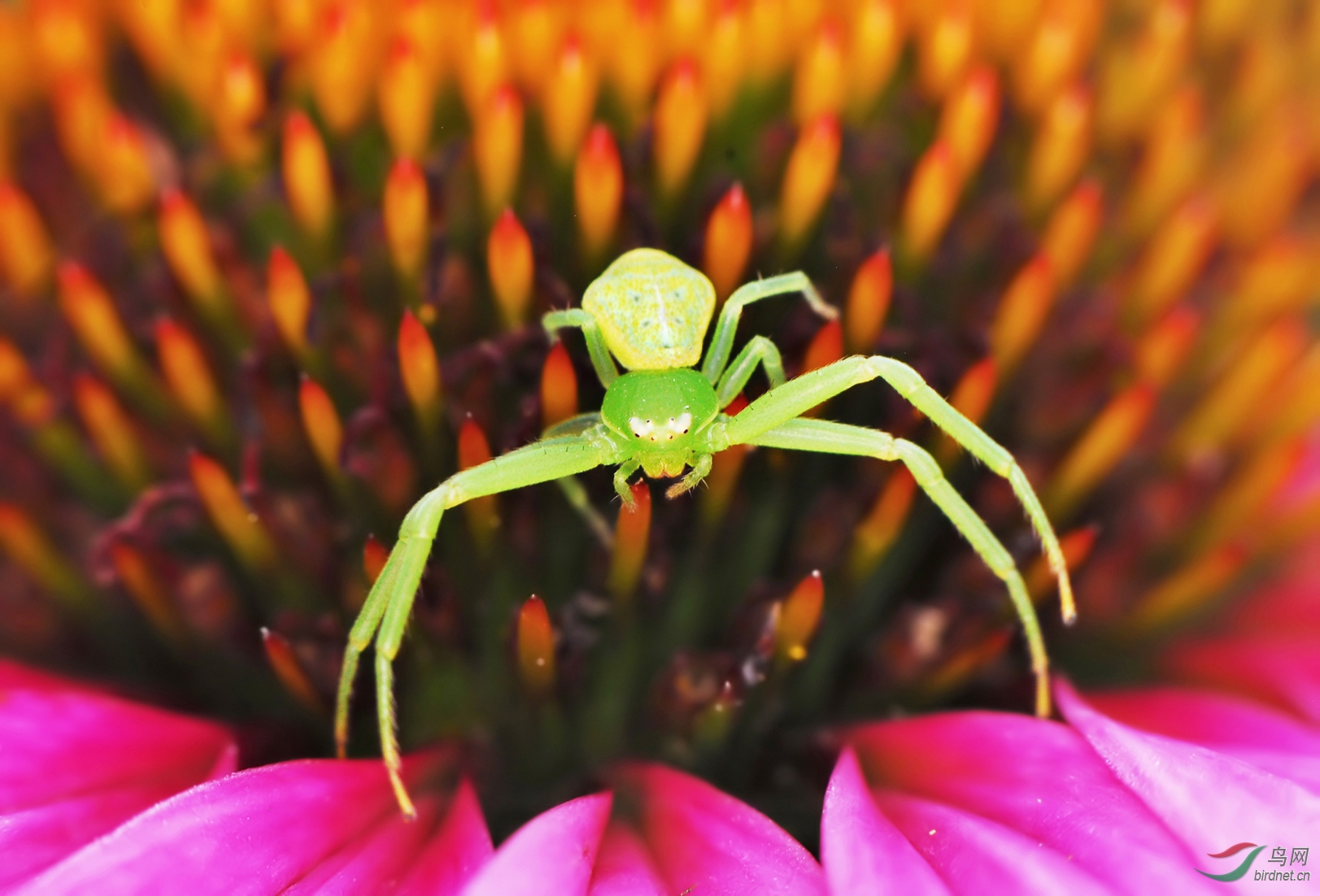 DSC_0294 ��������.jpg