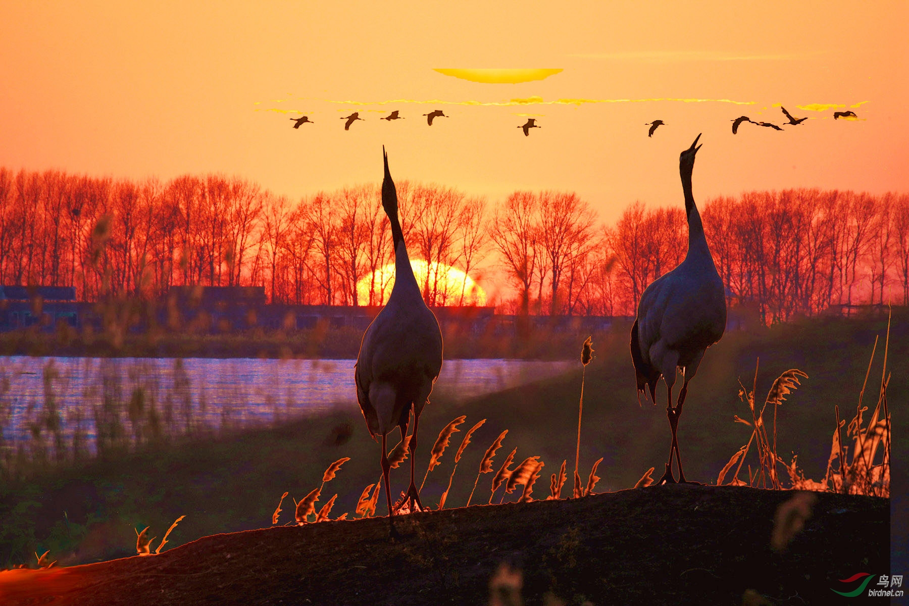 BE7W5422 - ����.jpg