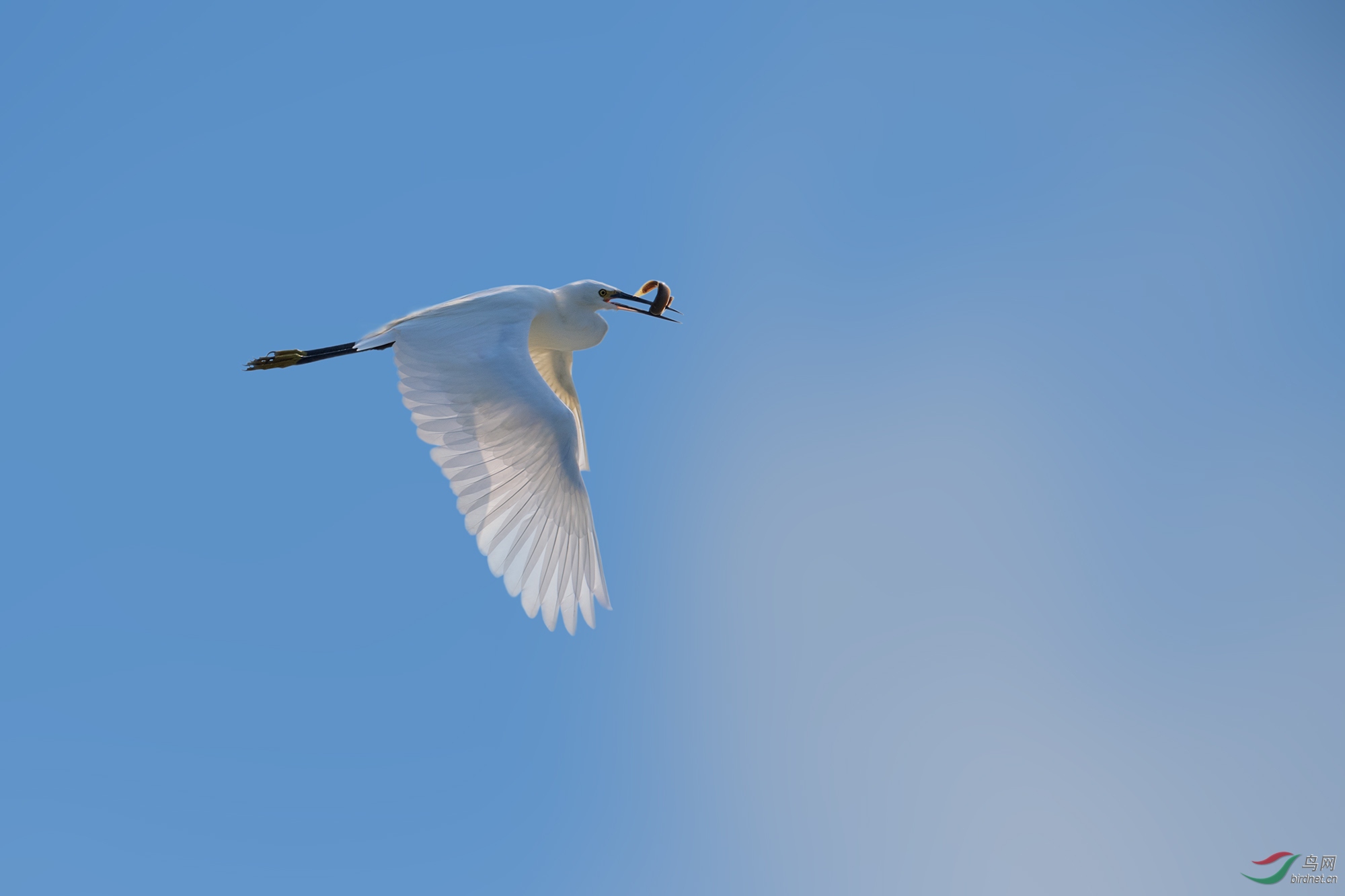 DSC1200.jpg