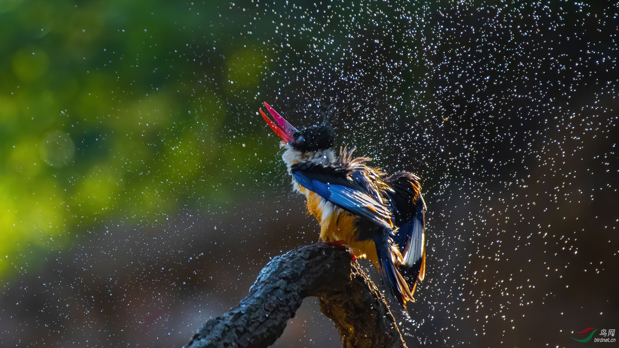 DSC_3349 ���ǵ�� �ϴ�.jpg