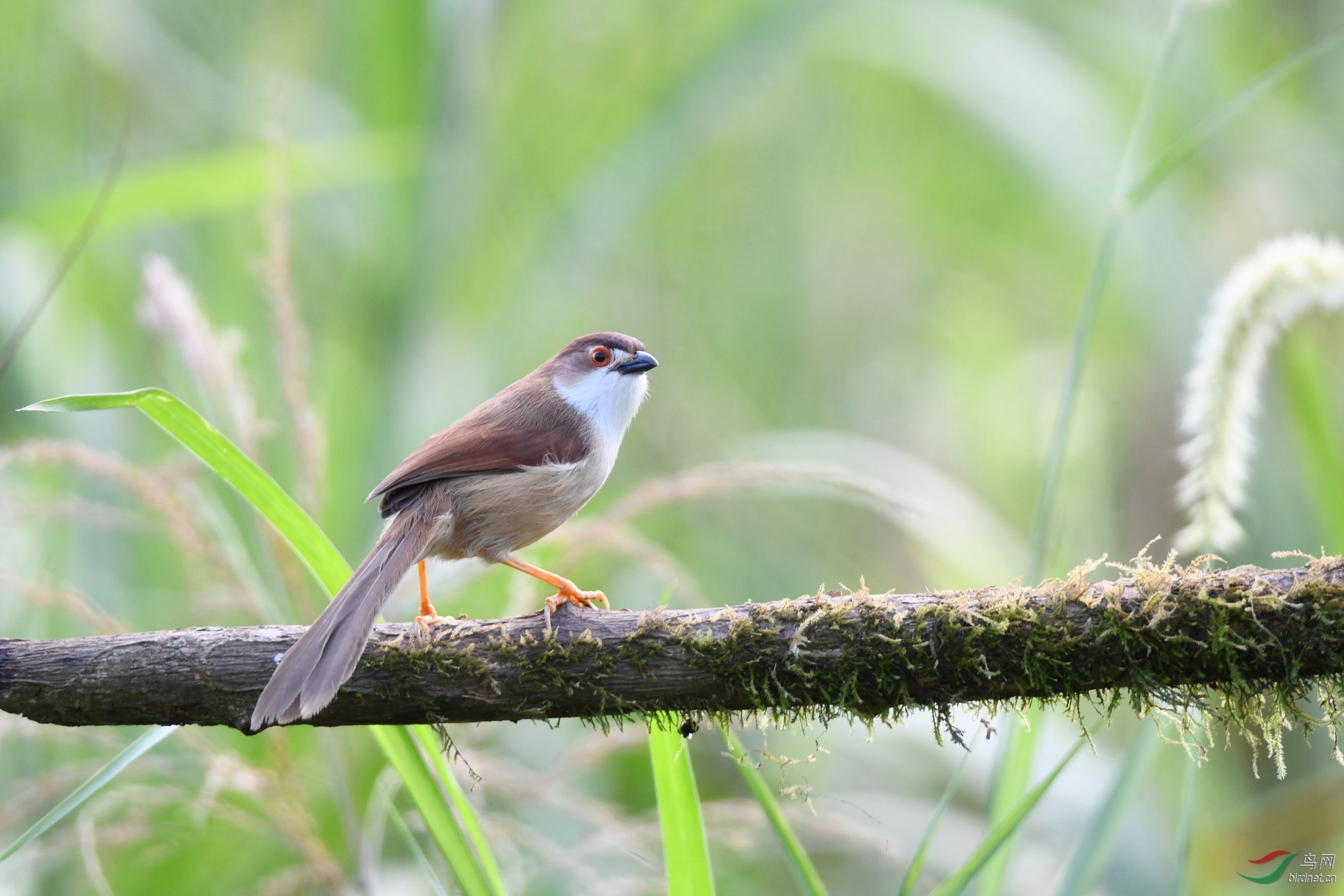 ������ȸ