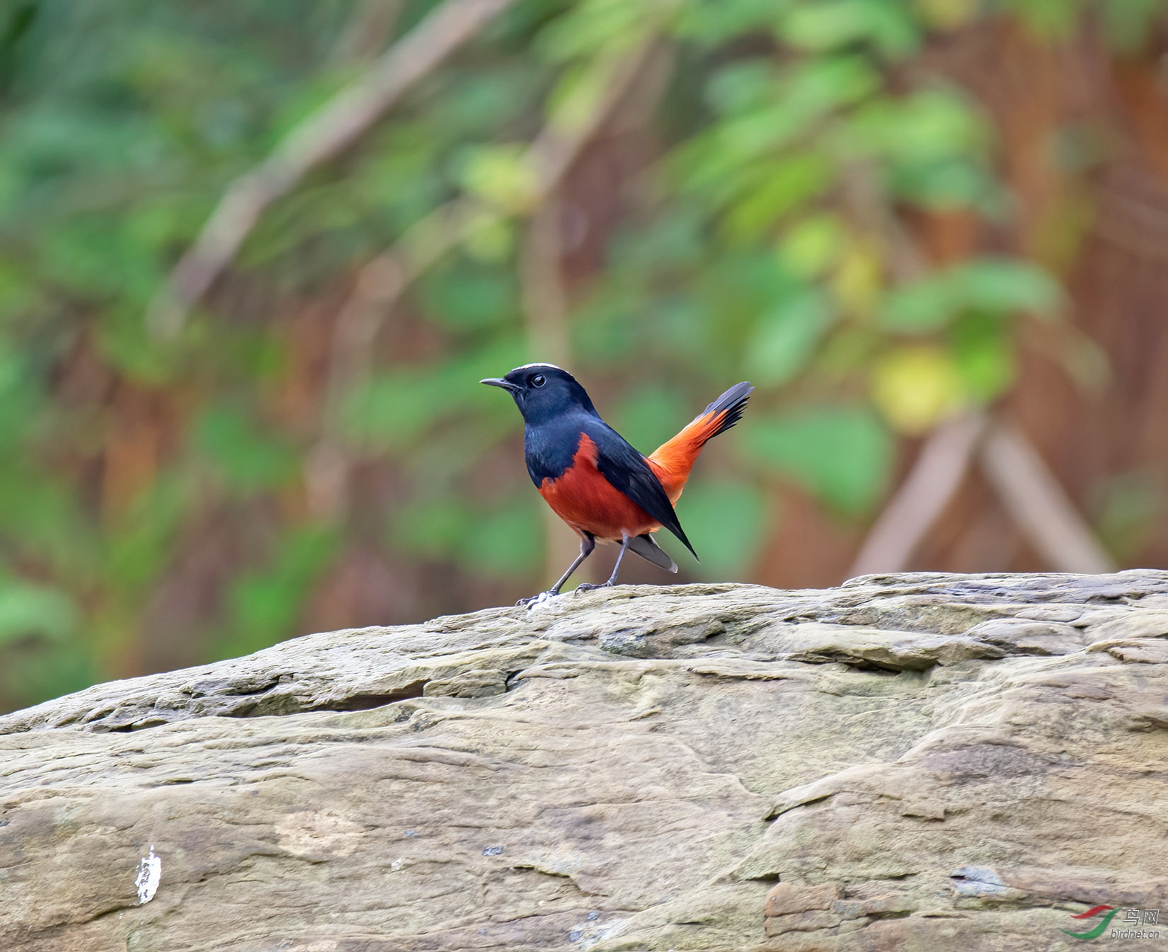 DSC_6629.jpg