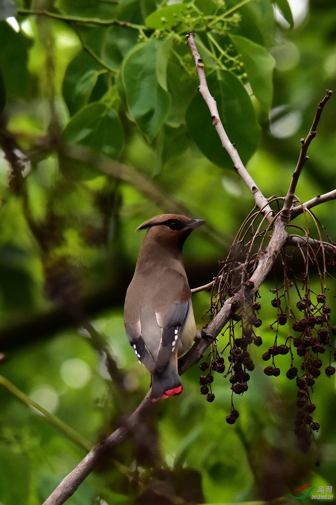 DSC_0652.JPG