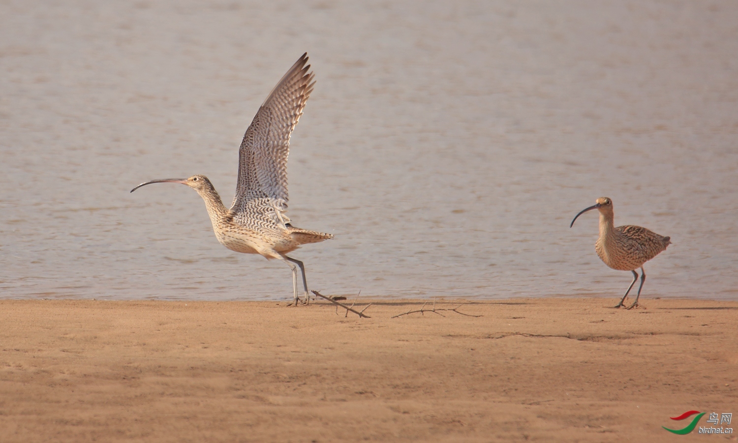 ����57 ��ʦ�����ڼ���ʡ�������Ϲ���.jpg