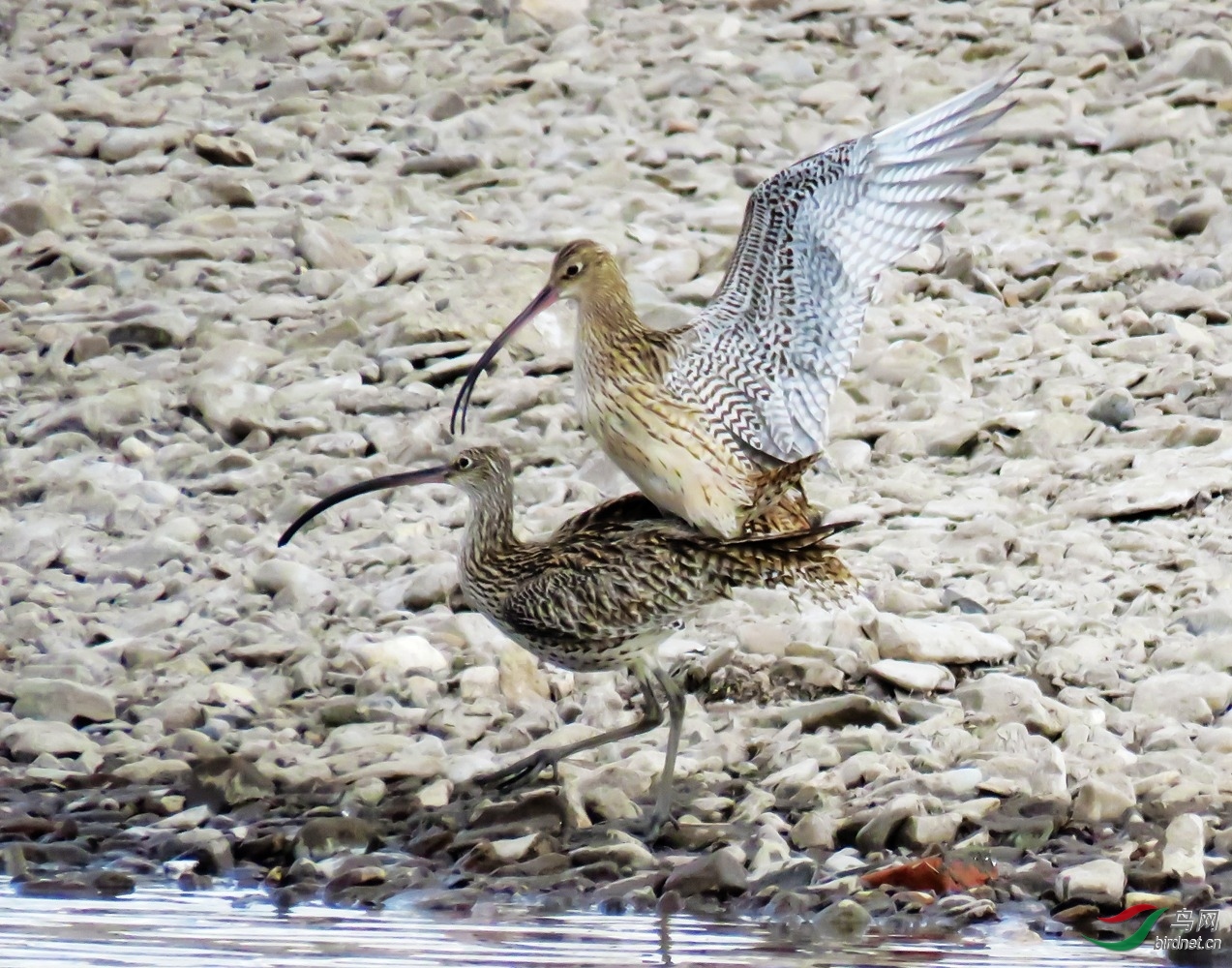 �۸��� ��ʦ���������ɹ����������ױ����и�����.jpg