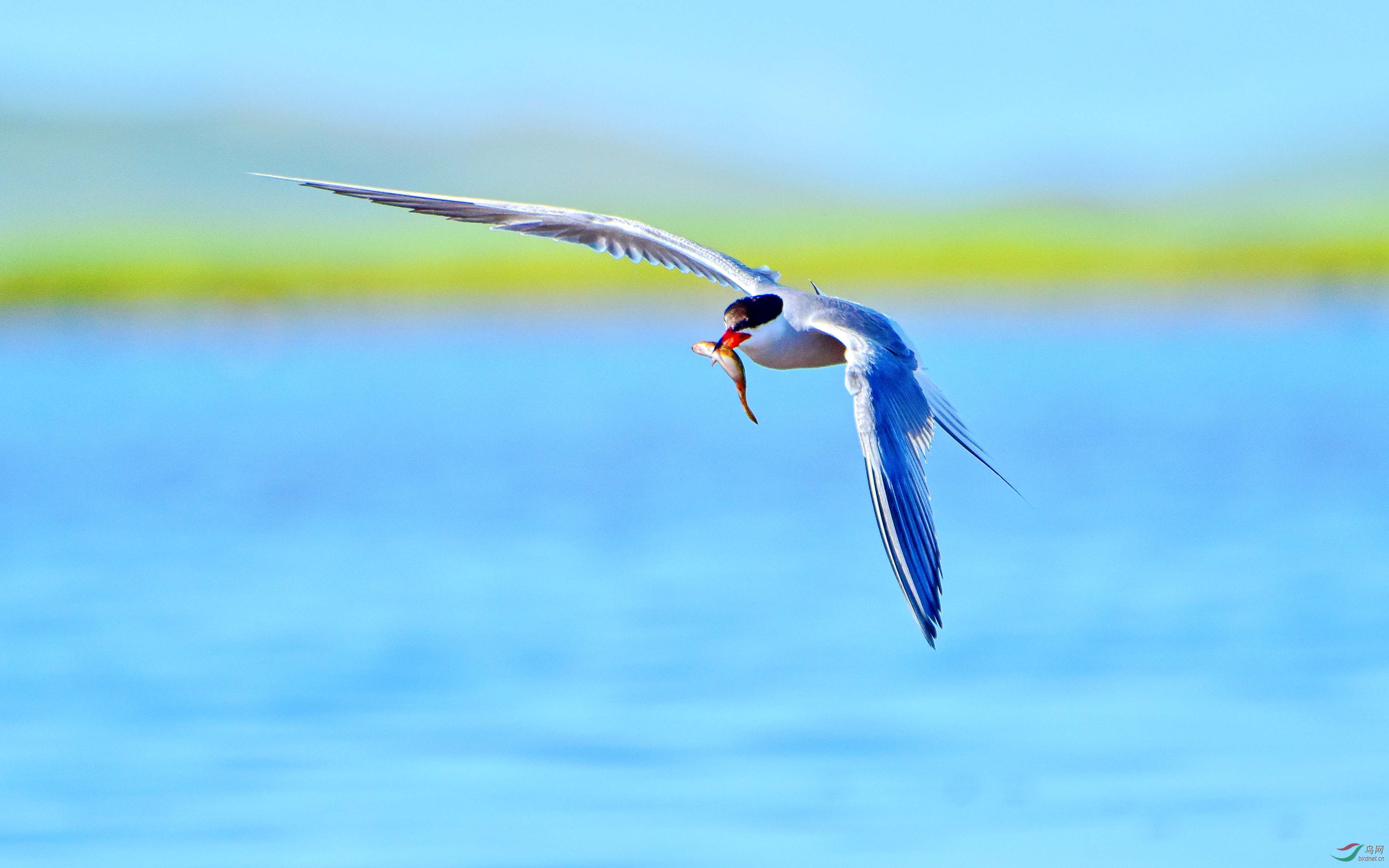 DSC_2745_conew9.jpg
