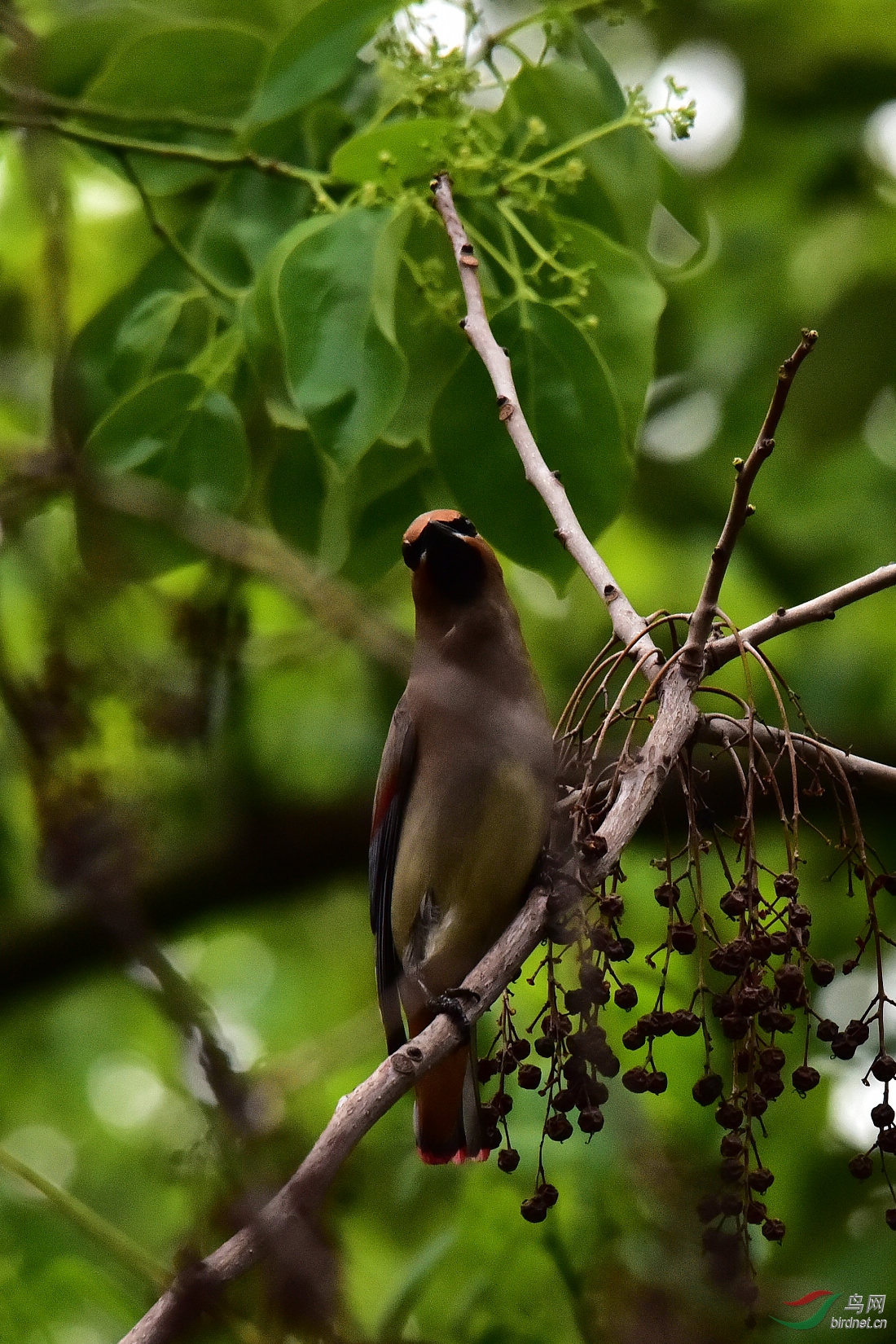 DSC_0653.JPG