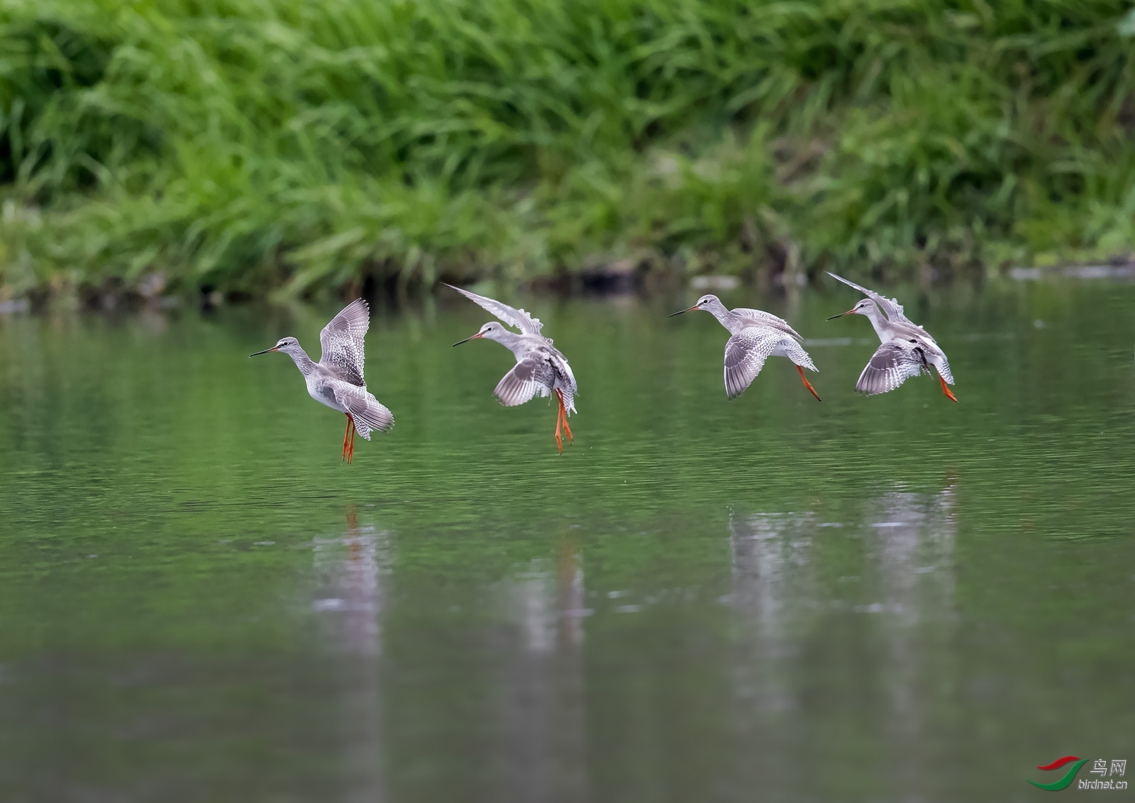 77089 ��ʦ������������.jpg