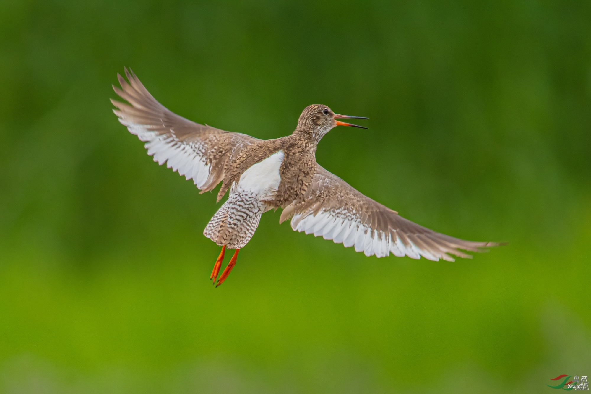 suyusuyunfei ��ʦ�����ڸ���ʡ ��Ҵ�и�����500.jpg