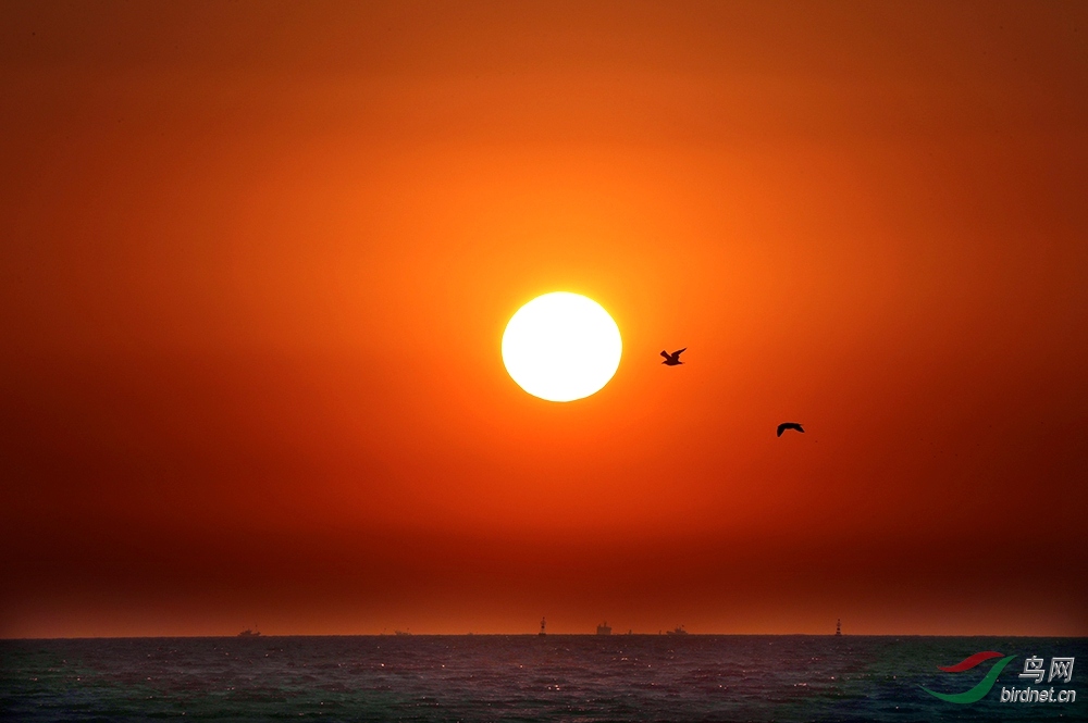 ��ֻ�䵥����������׷����Ⱥ