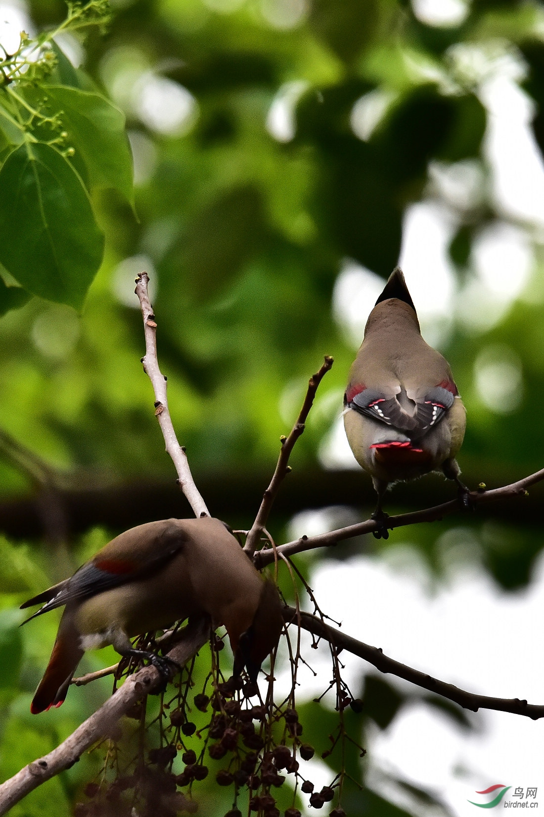 DSC_0658.JPG