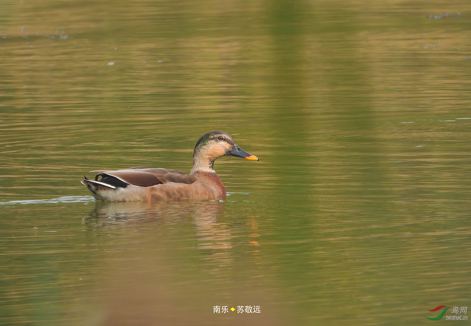 DSCN1261СС.jpg