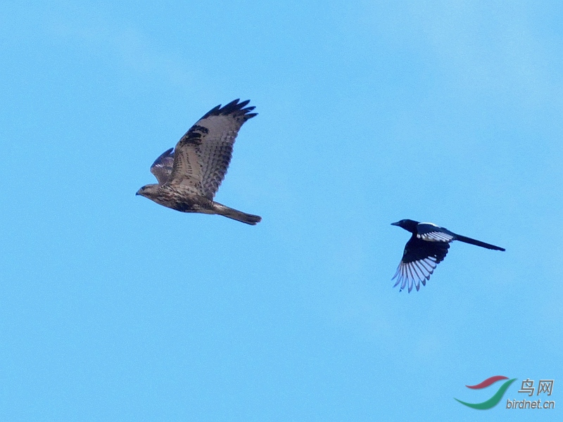 P5600128 - ����.JPG