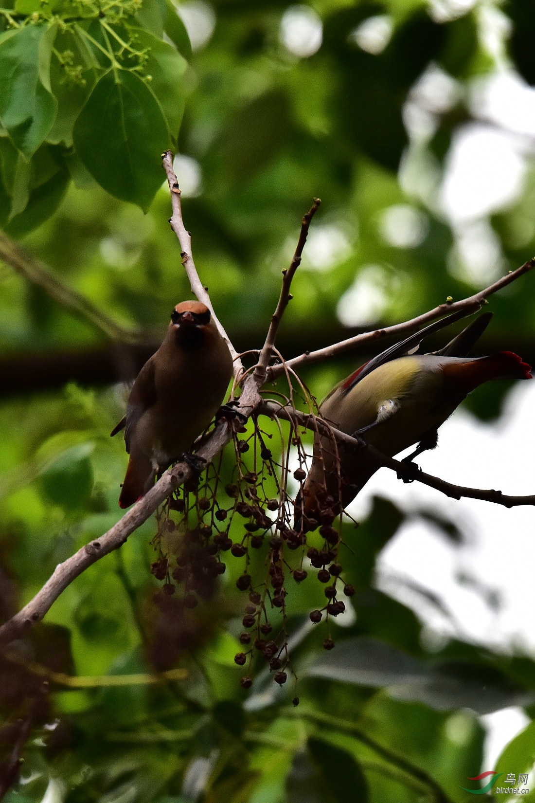 DSC_0662.JPG