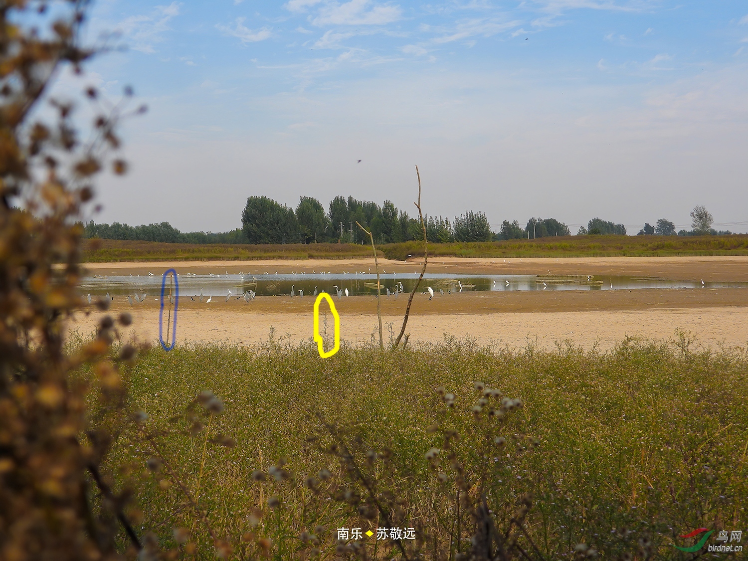 DSCN1180СС2.jpg