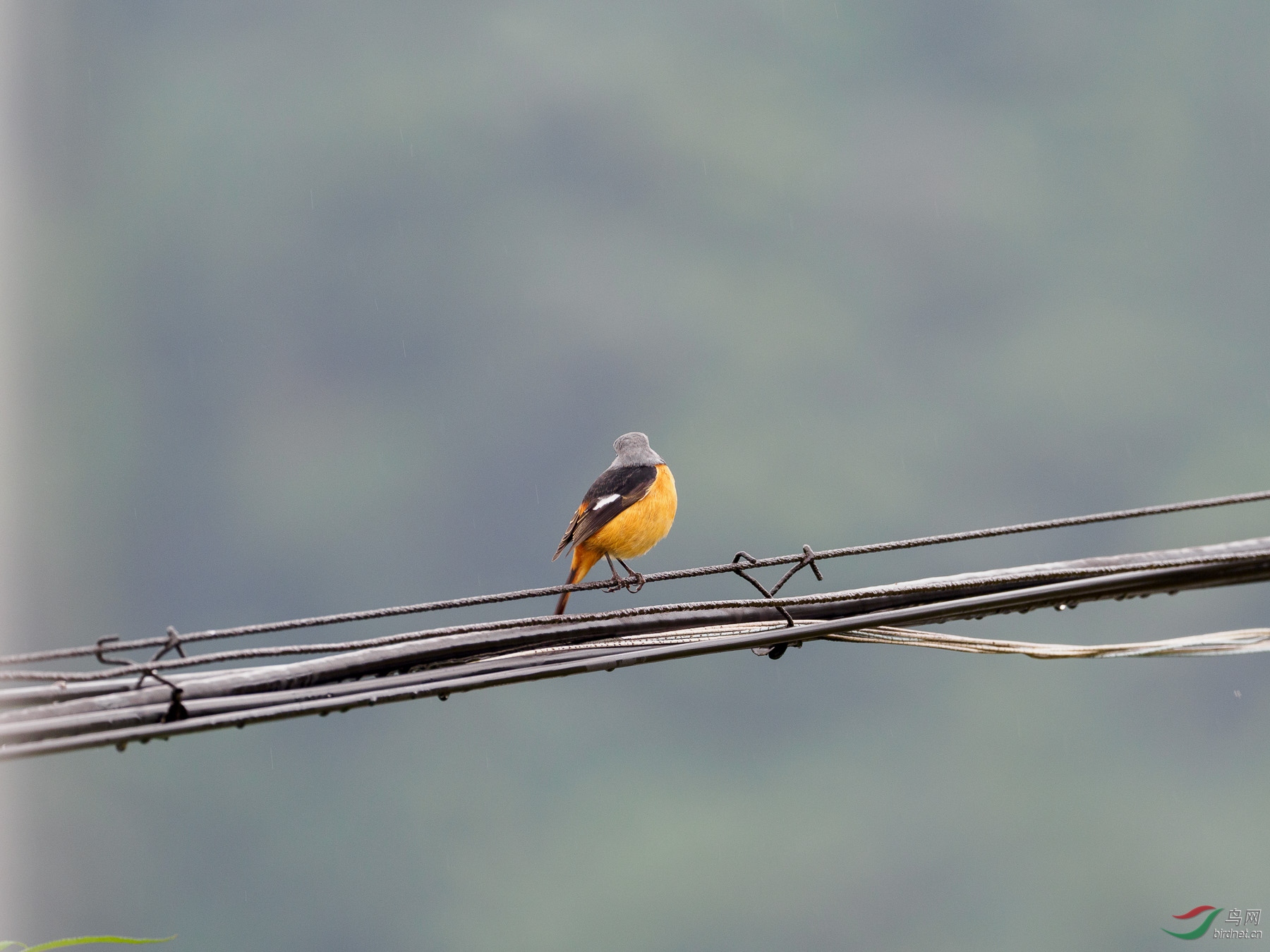 δ����-061913.jpg