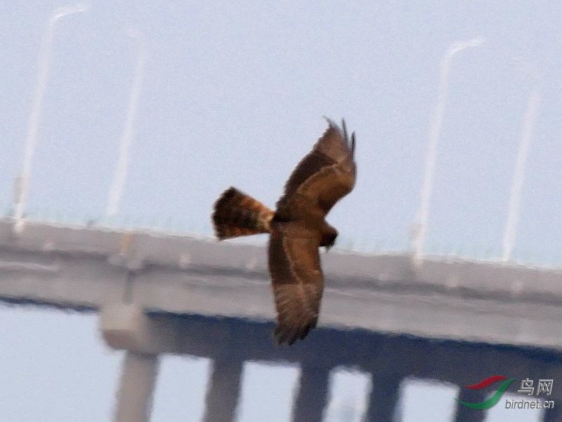 P5610168 - ����.JPG