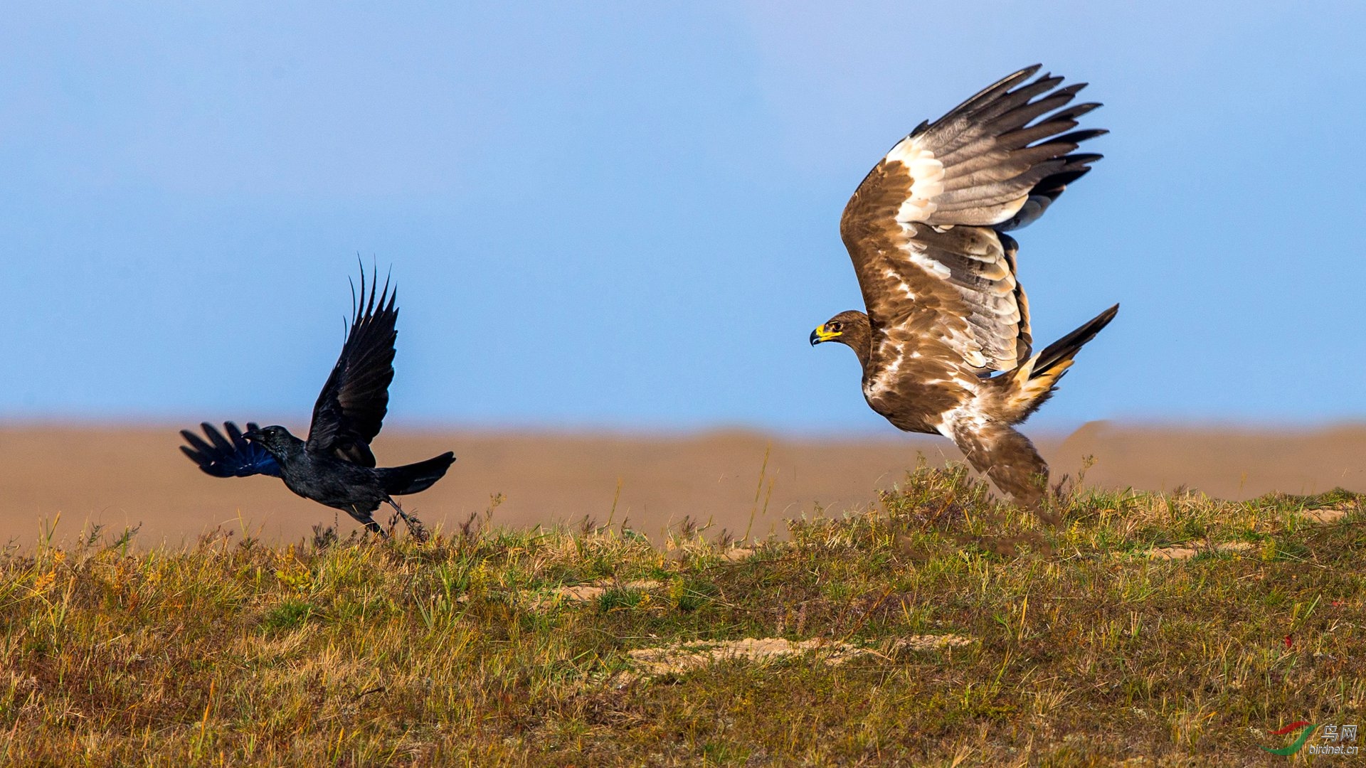 BW4Q8133 - ���� - ����.jpg