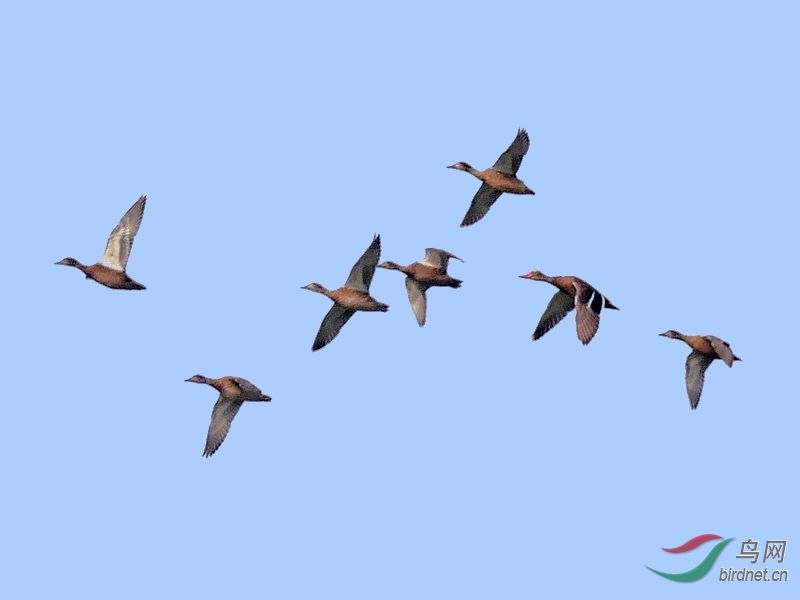 P5610690 - ����.JPG