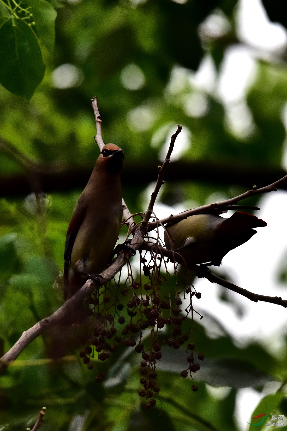 DSC_0669.JPG