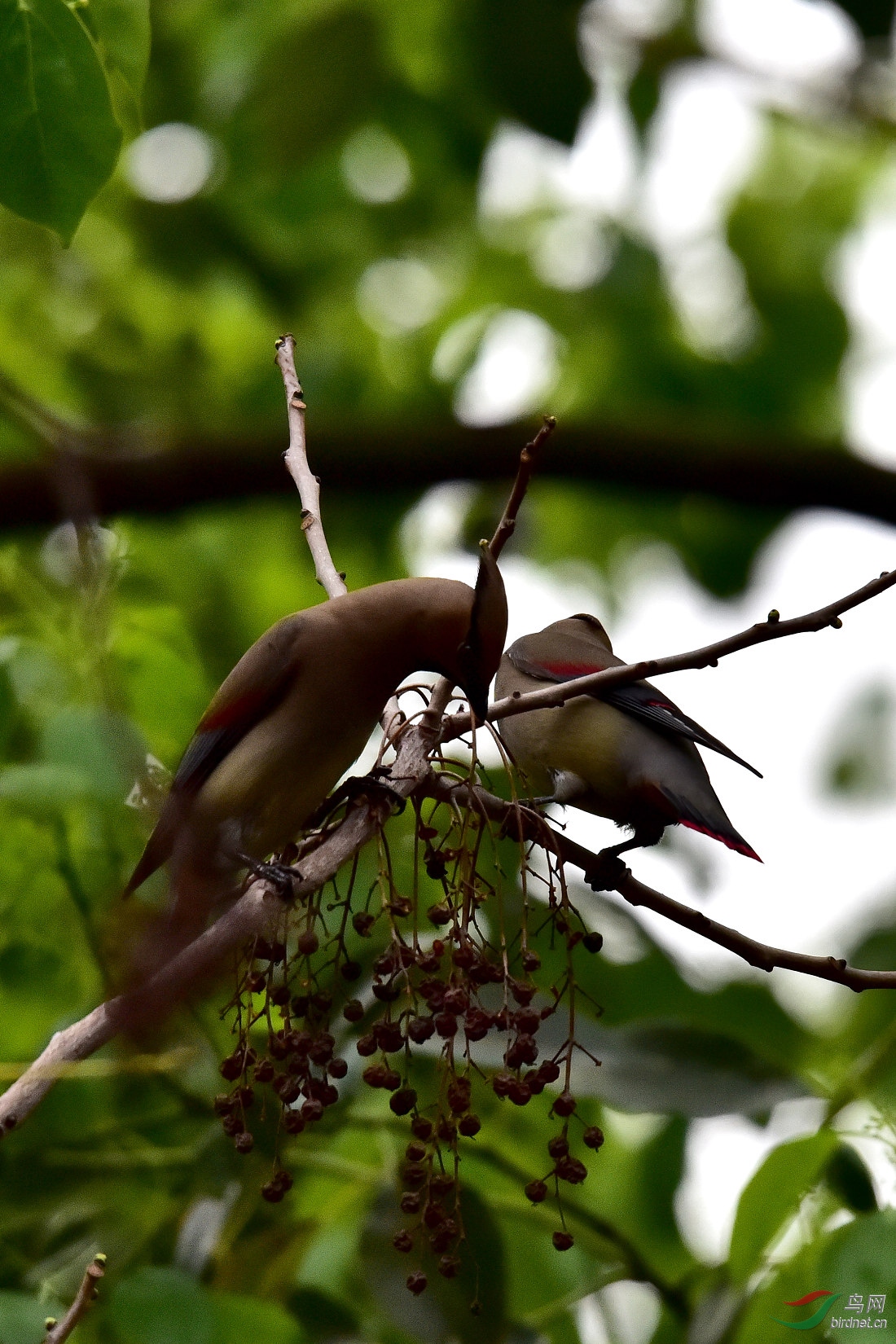 DSC_0670.JPG