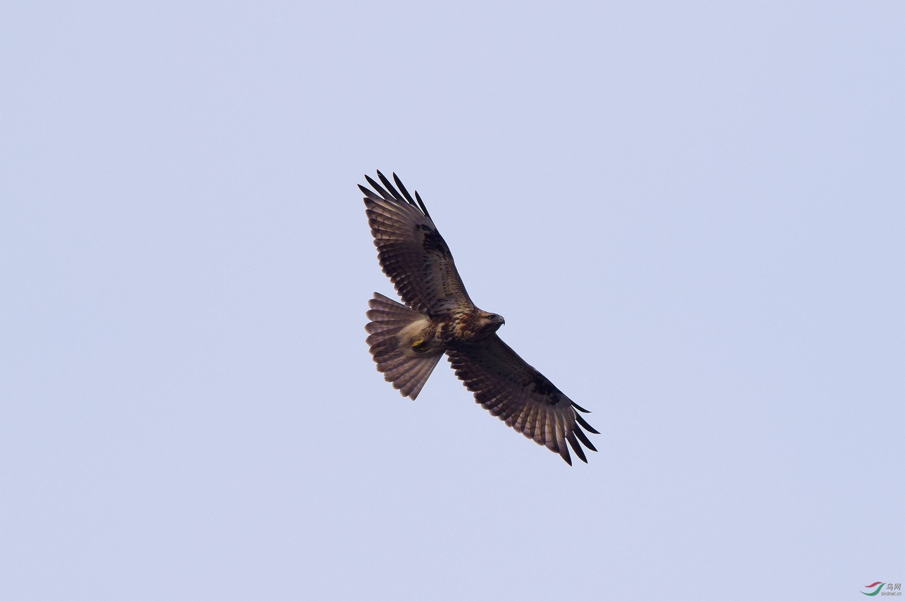 DSC_0591_副本.jpg