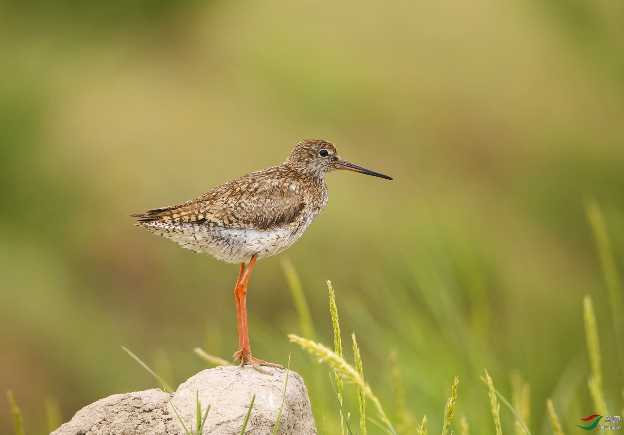 zhj926888 ��ʦ�����ڸ���ʡ ��Ҵ�и�̨��.jpg