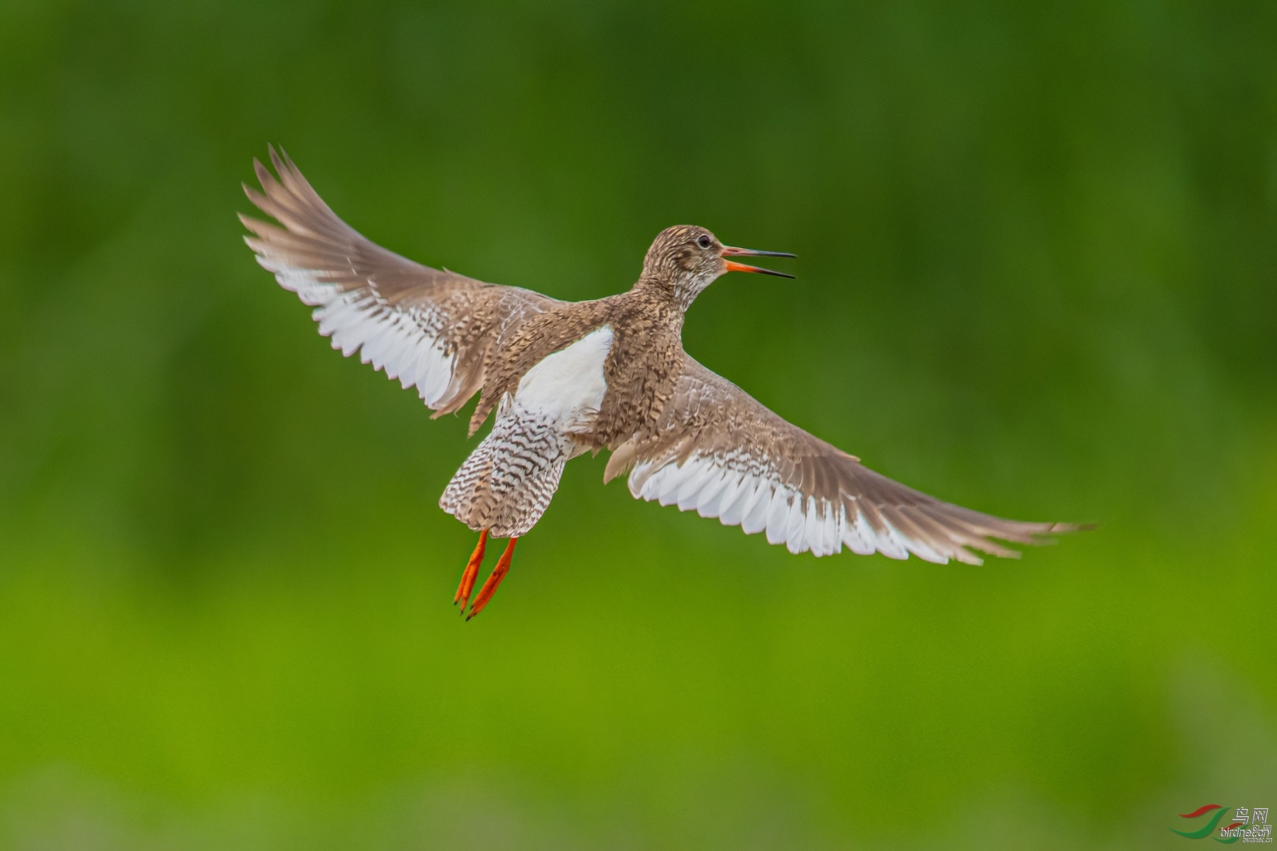 suyusuyunfei ��ʦ�����ڸ���ʡ ��Ҵ�и�����500.jpg