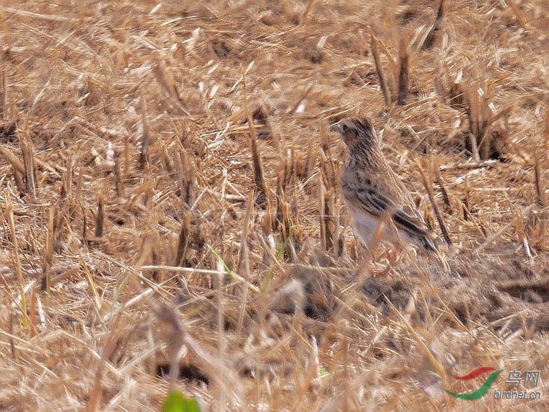 P5610505 - ����.JPG