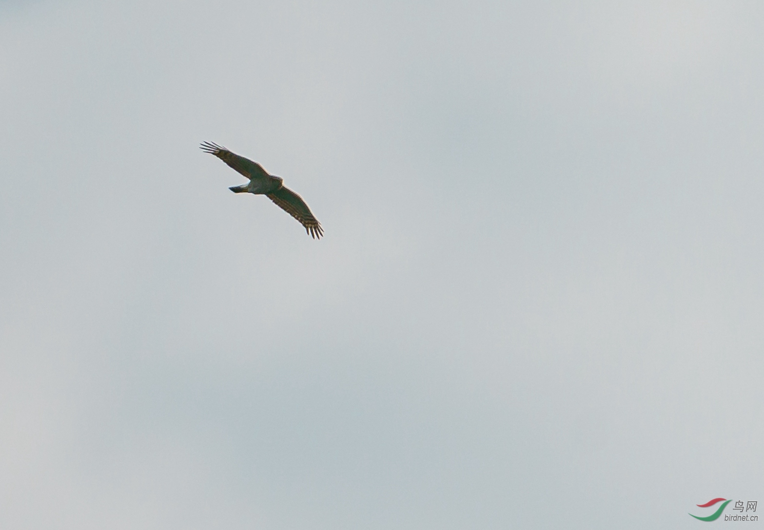 DSC07800_����.jpg