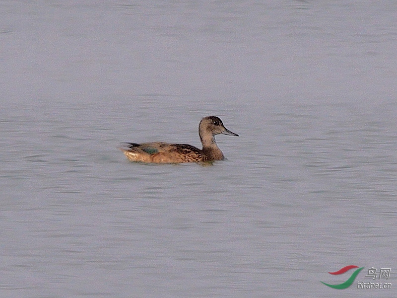 P5610888 - ����.JPG