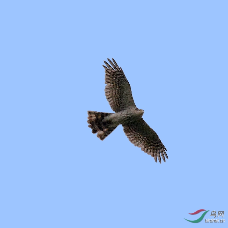 P5600590 - ����.JPG