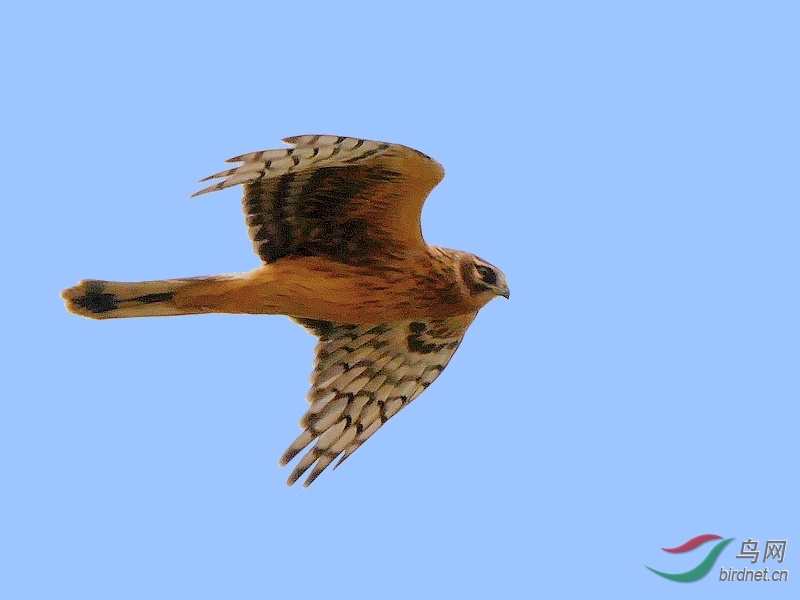 P5600674 - ����.JPG