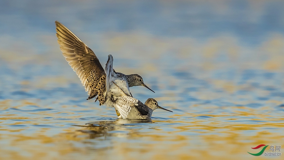 ���� ��ʦ�����ں�����ʡ���������������.jpg