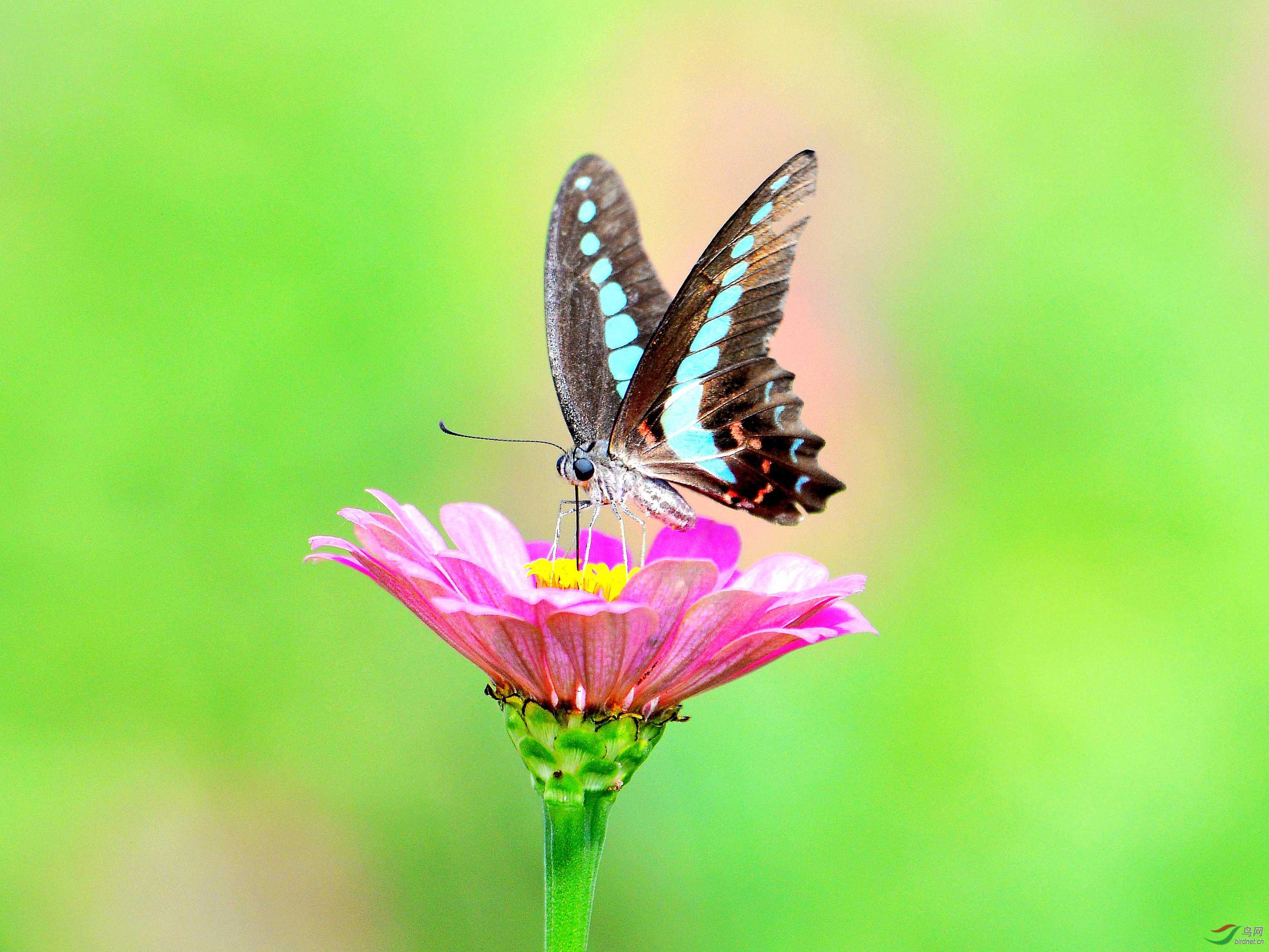 DSC_8543_conew2.jpg