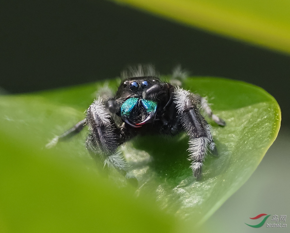 �ڷ�����