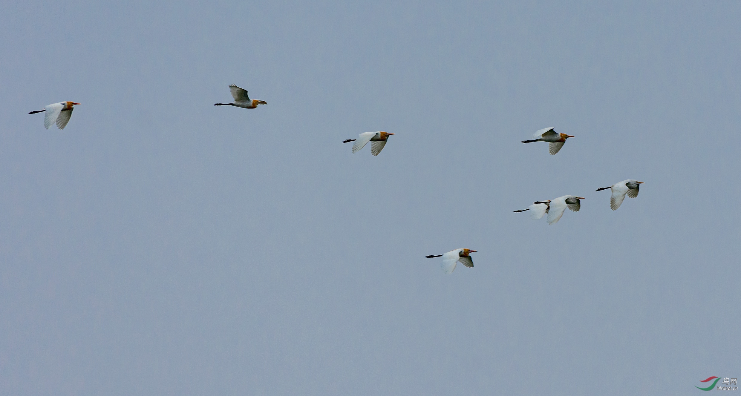 ����ǰ��